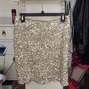 Sequin Skirt